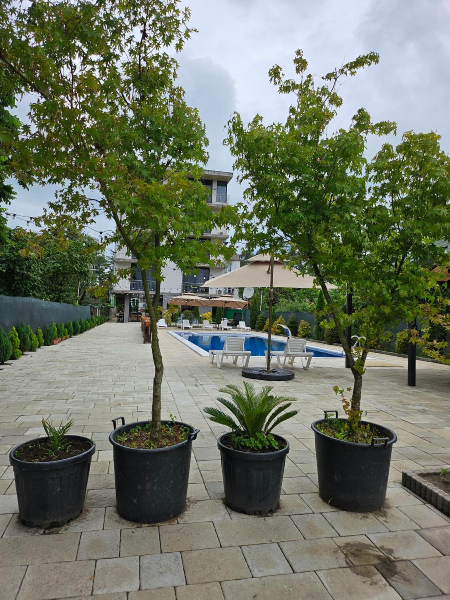 Green Terrace 코불레티 외부 사진